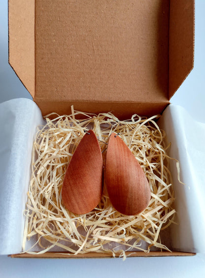 Wooden earrings in a box